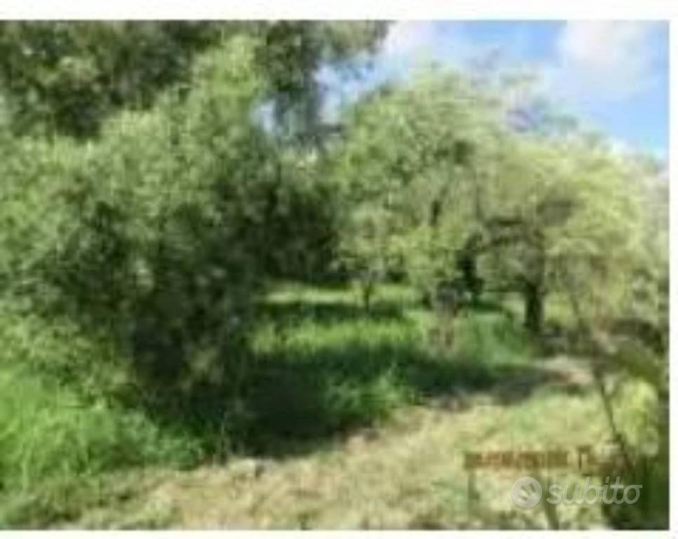 Immobile in asta di 1540 m² a Lamezia Terme - Altro