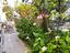 Immagine 20