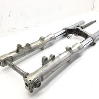 FORCELLA - PICCOLI PUNTI DI RUGGINE SU PARTE ALTA 