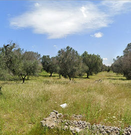 Terreno agricolo su via pricipale