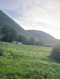 Terreno agricolo Fiuggi