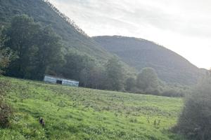 Terreno agricolo Fiuggi