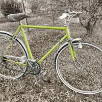 bicicletta vintage  3 marce