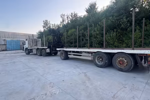 Volvo 460 con gru X tronchi e rimorchio