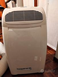 Climatizzatore portatile 