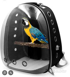trasportino per animali Pappagalli