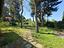 Immagine 15