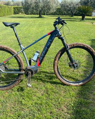 E-MTB OLYMPIA PERFORMER 900 E-BIKE
