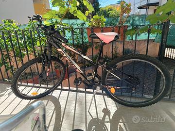 Bicicletta per ragazza.