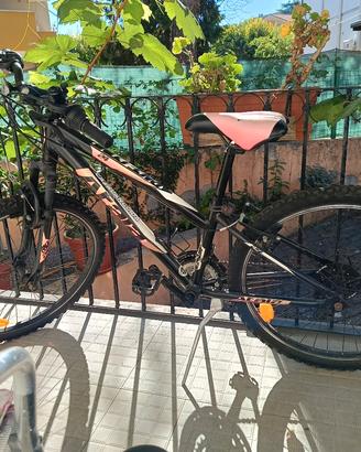 Bicicletta per ragazza.