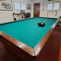 Biliardo Professionale