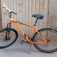 BICI CASADEI KUSTER 29.0 MTB