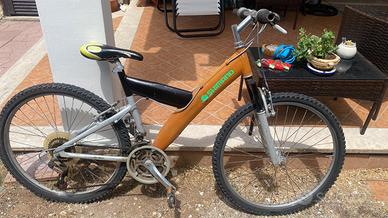 Bicicletta