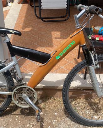 Bicicletta