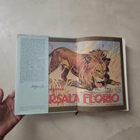 I leoni di Sicilia - la saga dei Florio