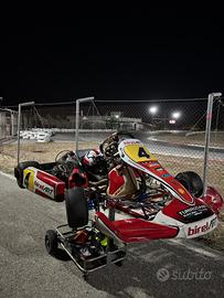 Birel art 125