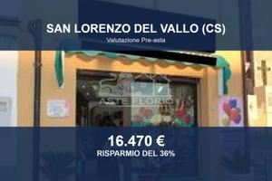 Immobile in asta di 58 m² a San Lorenzo del Vallo
