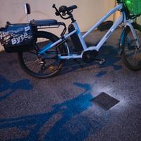 Bicicletta elettrica