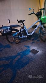Bicicletta elettrica