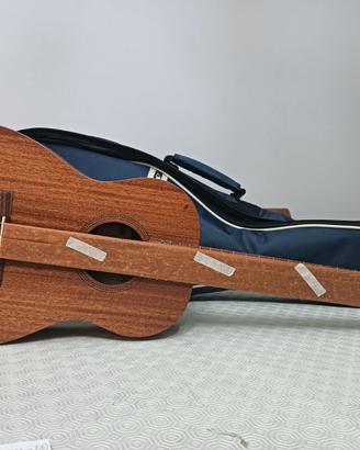 Ukulele con custodia imbottita