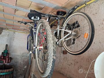 Vedo 2 biciclette uomo e donna
