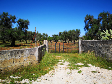 Terreno in contrada Perito