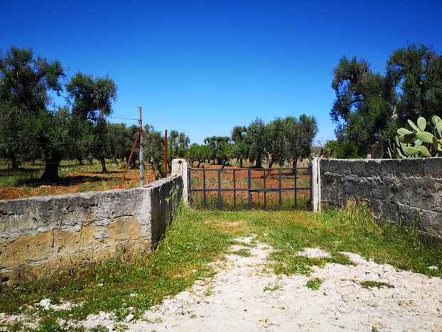 Terreno in contrada Perito