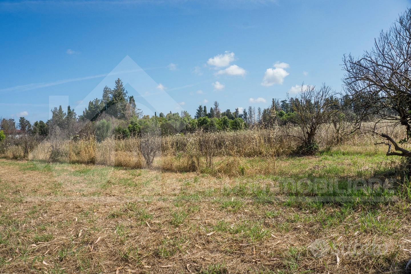 Monastir terreno agricolo con pozzo e elettricità - Vista 3