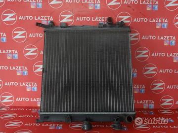 Radiatore Acqua Citroen C3 C2 Peugeot 1007 Cod. 96