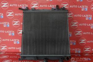 Radiatore Acqua Citroen C3 C2 Peugeot 1007 Cod. 96
