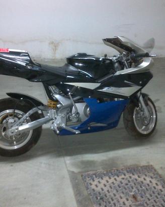 Minimoto 110 pit bike GP