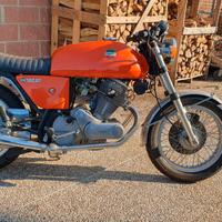 Laverda 750 - 1972