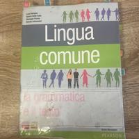 Libro lingua comune