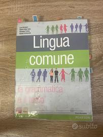 Libro lingua comune