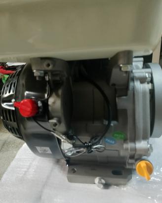 Motocoltivatore Zanetti 9 CV