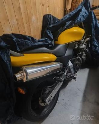 Hornte 600