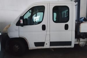 DUCATO 7 POSTI ribaltabile