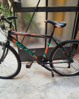 bicicletta da uomo Frejus