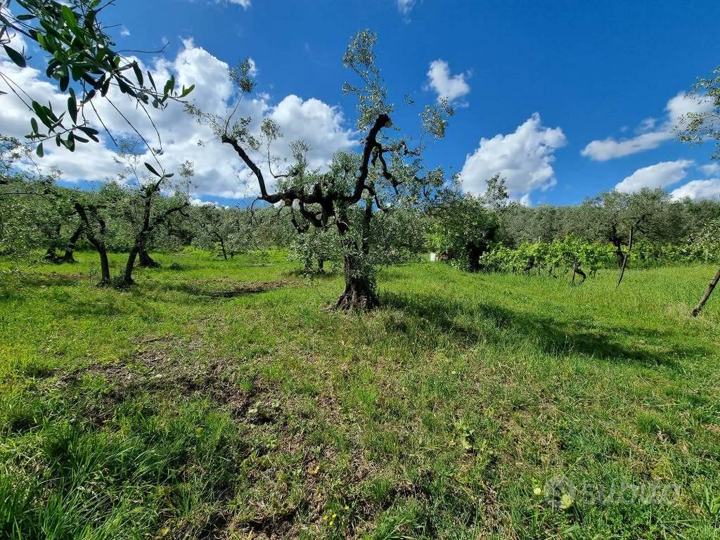 Terreno di 21090 m² a Montespertoli - Vista 3
