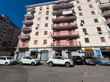 5 Vani in via Oreto uova via Orsa minore