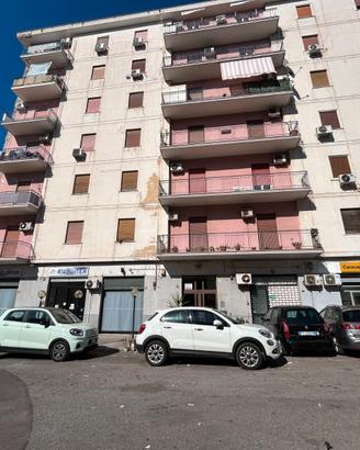 5 Vani in via Oreto uova via Orsa minore