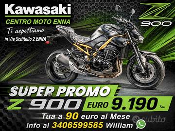 Kawasaki Z 900 - 2026 INTERA GAMMA
