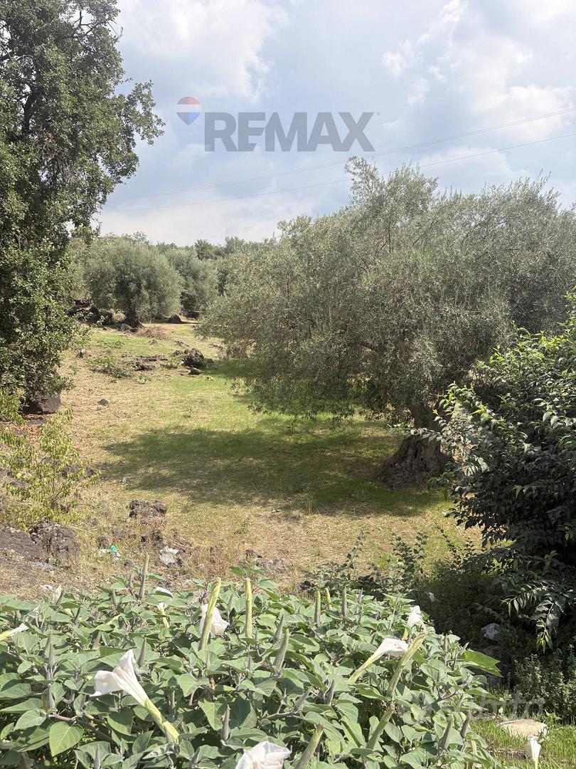 Terreno - Ragalna - Vista 5