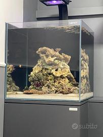Rocce vive  Acquario Marino