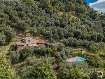 Rustico singolo con piscina