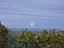 Immagine 29