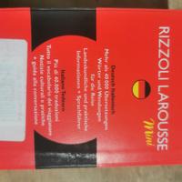 Dizionario Rizzoli tedesco NUOVO