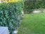 Immagine 24