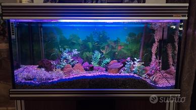 acquario Wave 150 lt