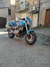 honda hornet 